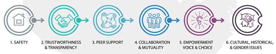 1. safety 2. trustworthiness 3. peer support 4. collaboration & mutuality 5. empowerment voice & choice 6. cultural, historical, and gender issues